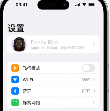 洋浦经济开发区appleID维修服务iPhone设置中Apple ID显示为灰色无法使用 