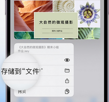 洋浦经济开发区apple维修中心分享iPhone文件应用中存储和找到下载文件