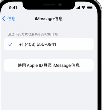 洋浦经济开发区apple维修iPhone上无法正常发送iMessage信息