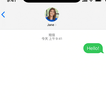 洋浦经济开发区apple维修iPhone上无法正常发送iMessage信息