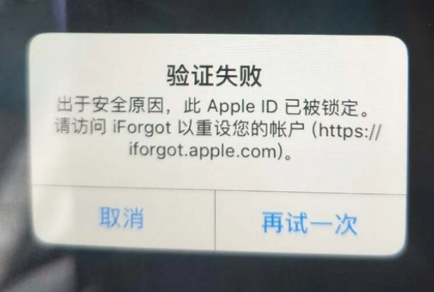 洋浦经济开发区iPhone维修分享iPhone上正常登录或使用AppleID怎么办 