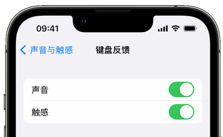 洋浦经济开发区苹果手机维修分享iPhone 14触感键盘使用方法 