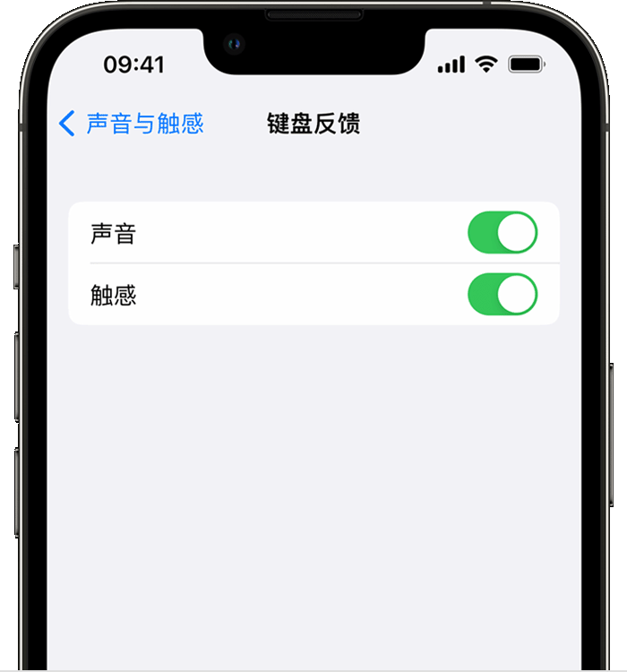 洋浦经济开发区苹果14维修店分享如何在 iPhone 14 机型中使用触感键盘 