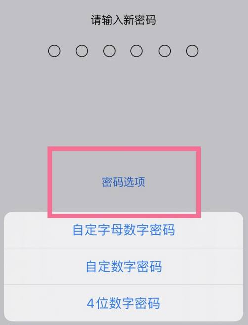 洋浦经济开发区苹果14维修分享iPhone 14plus设置密码的方法 