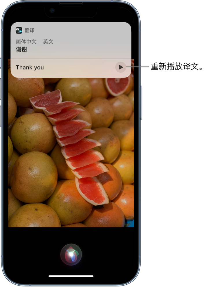 洋浦经济开发区苹果14维修分享 iPhone 14 机型中使用 Siri：了解 Siri 能帮你做什么 