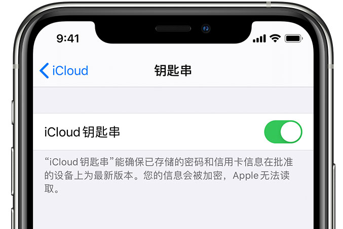 洋浦经济开发区苹果手机维修分享在 iPhone 上开启 iCloud 钥匙串之后会储存哪些信息 