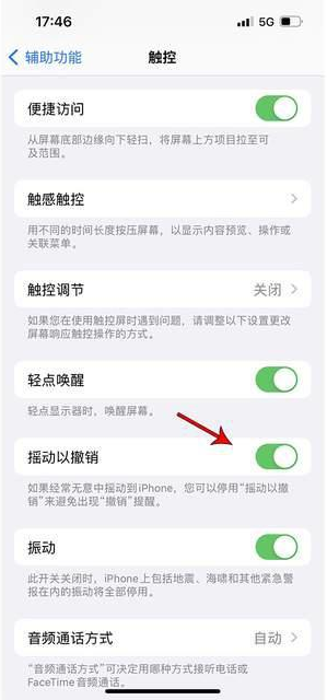 洋浦经济开发区苹果手机维修分享iPhone手机如何设置摇一摇删除文字 